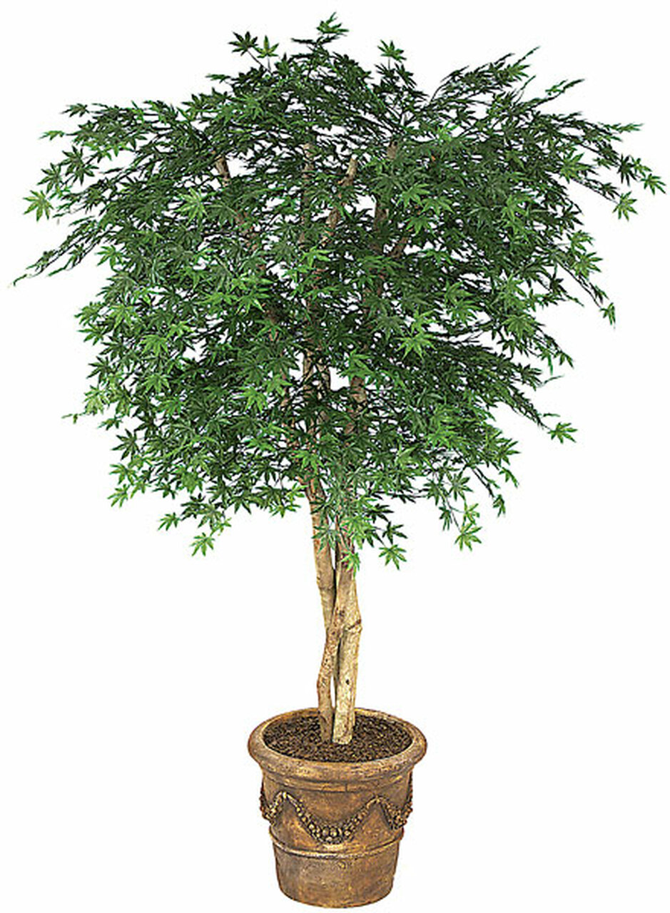 6 Foot Polyblend Japanese Maple Tree with green foliages